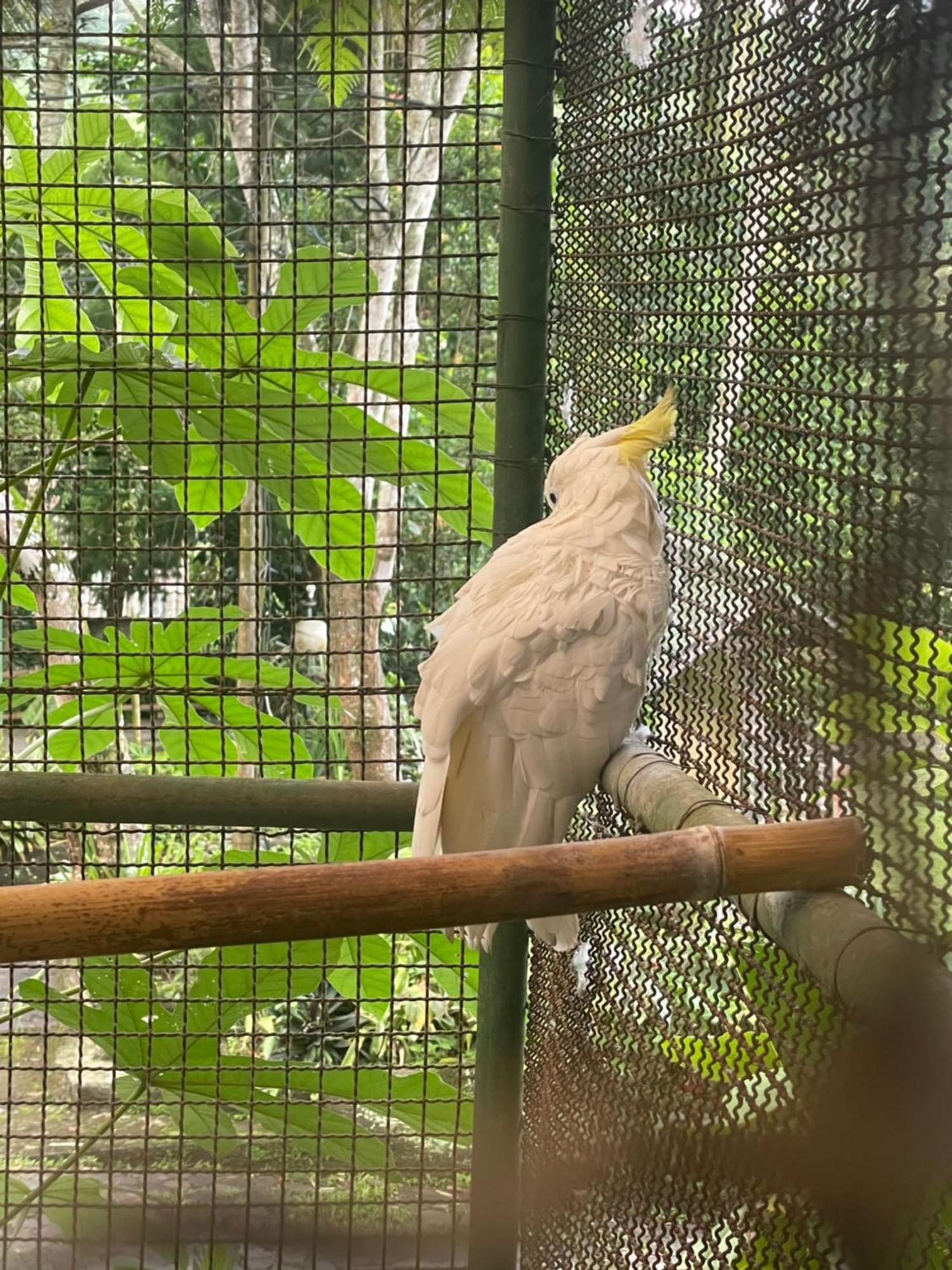 Happy Valley - Gg House Gadok المظهر الخارجي الصورة